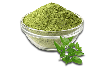 Best-Henna-Powder-Manufacturer-in-India.jpg