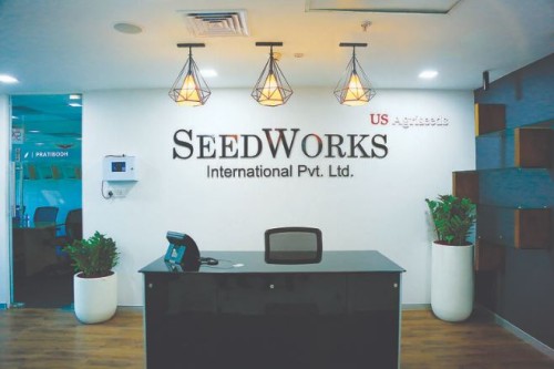 Seed.jpg