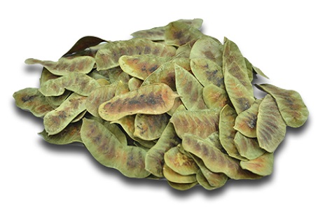 Senna-Pods-Supplier-in-India.jpg
