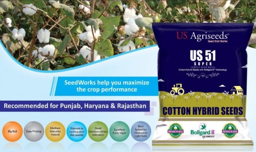 Cotton-Seeds-Company-in-India.jpg