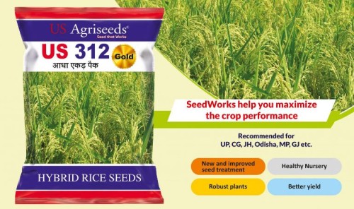 Top-Hybrid-Rice-Seed-Companies-in-India.jpg